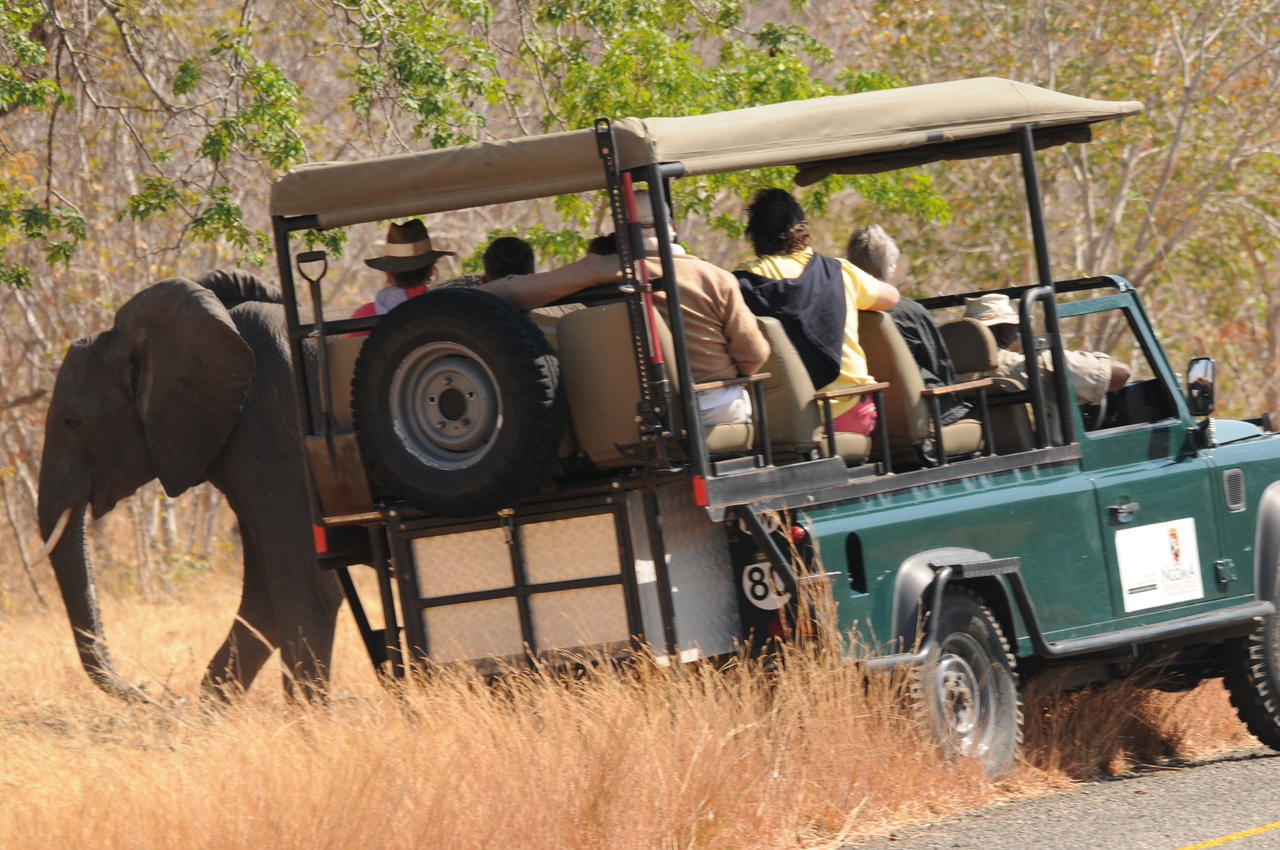 Ngoma Safari Lodge Kavimba Ngoại thất bức ảnh