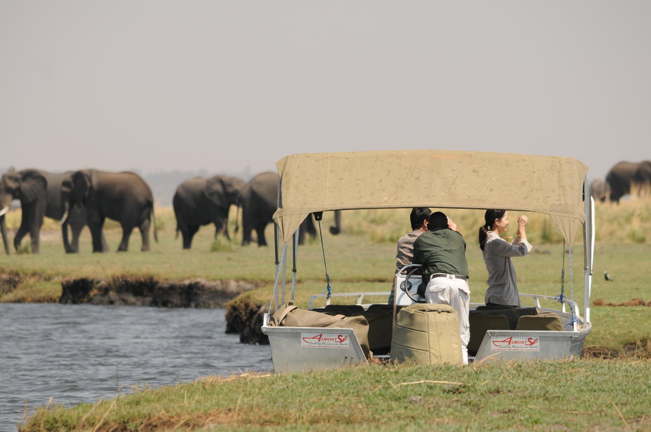 Ngoma Safari Lodge Kavimba Ngoại thất bức ảnh