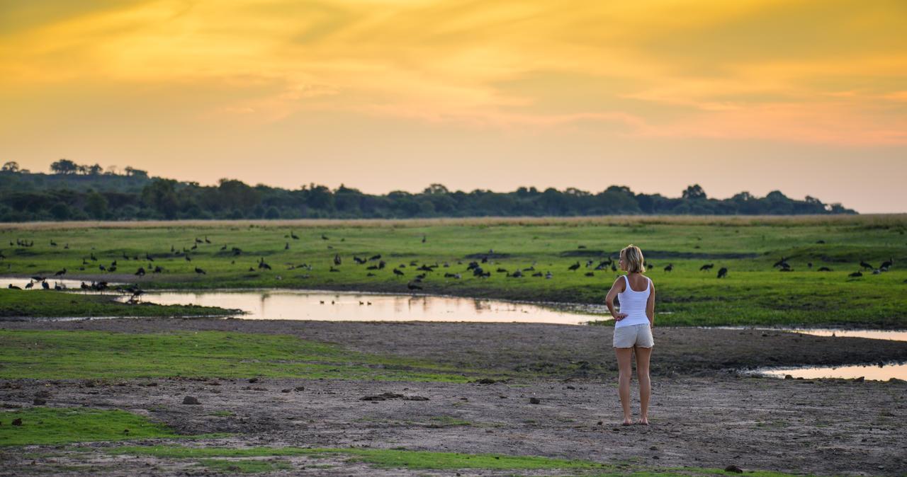 Ngoma Safari Lodge Kavimba Ngoại thất bức ảnh