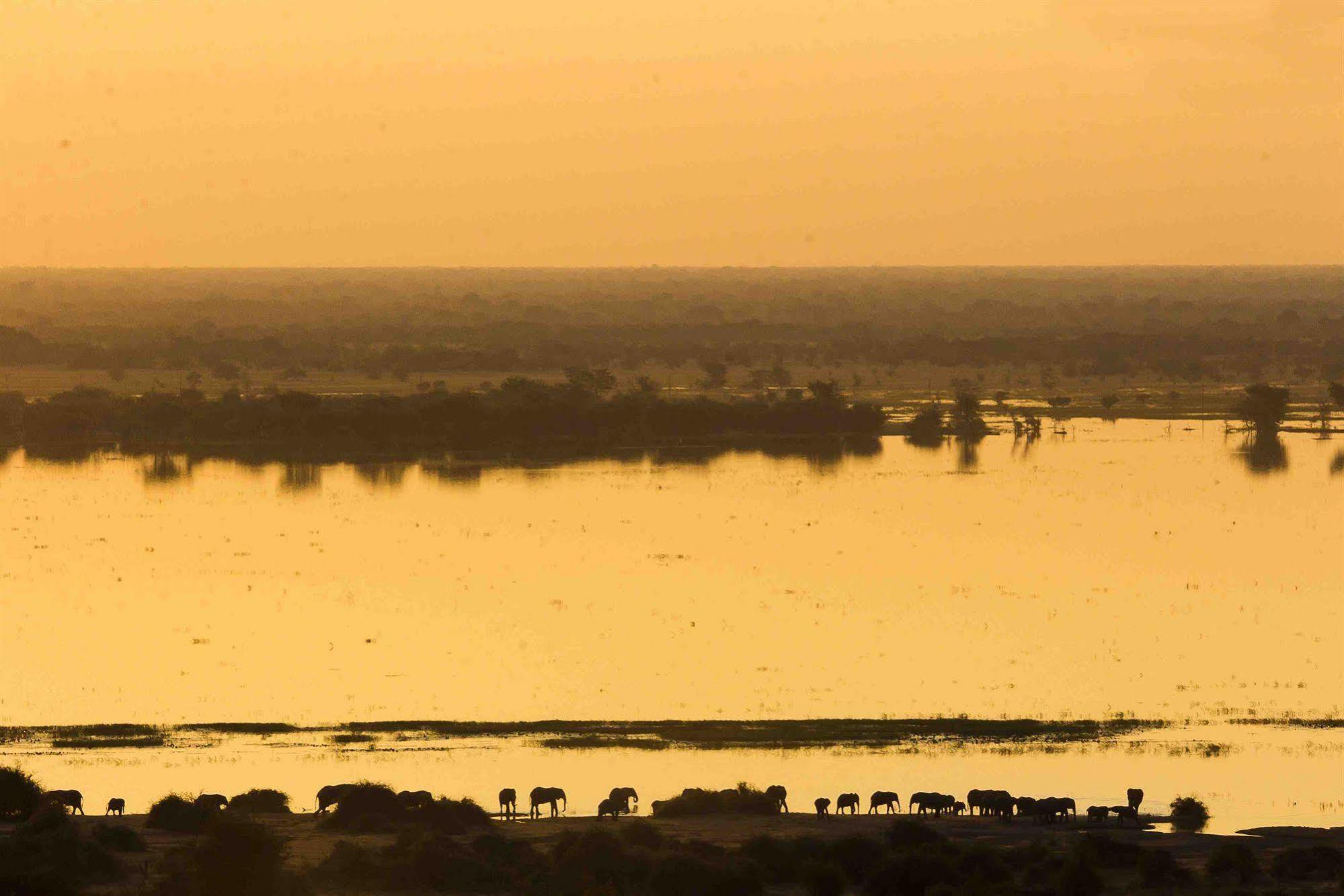 Ngoma Safari Lodge Kavimba Ngoại thất bức ảnh