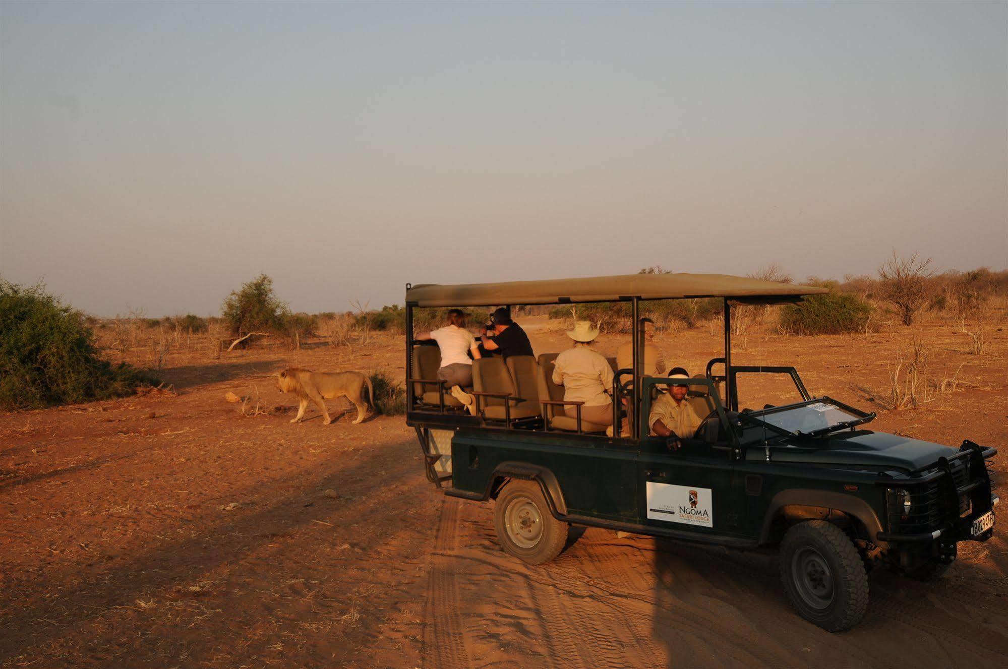 Ngoma Safari Lodge Kavimba Ngoại thất bức ảnh