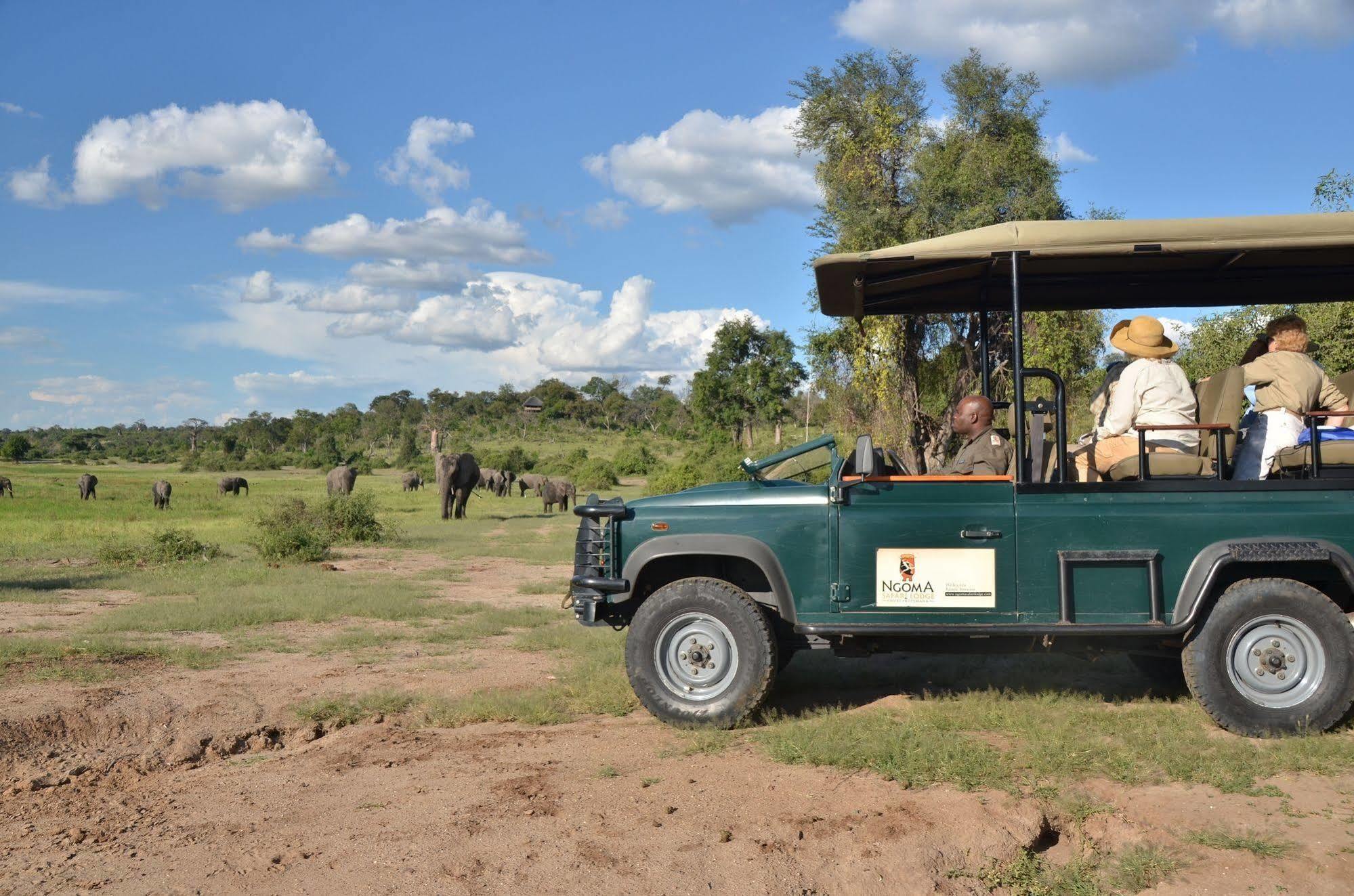 Ngoma Safari Lodge Kavimba Ngoại thất bức ảnh